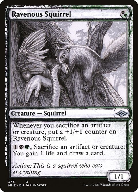 375-ravenoussquirrel