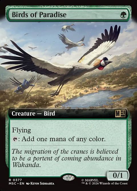 377-birdsofparadise