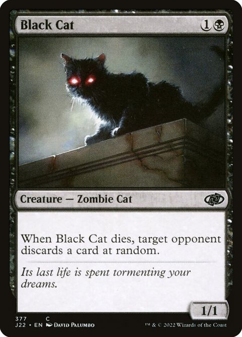 377-blackcat
