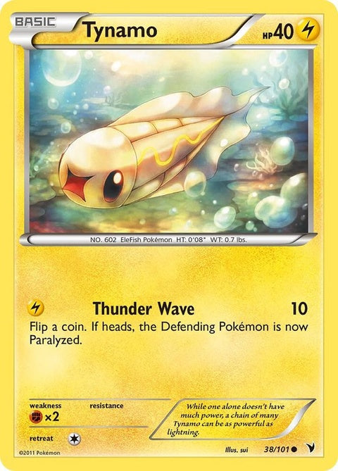 38-tynamo
