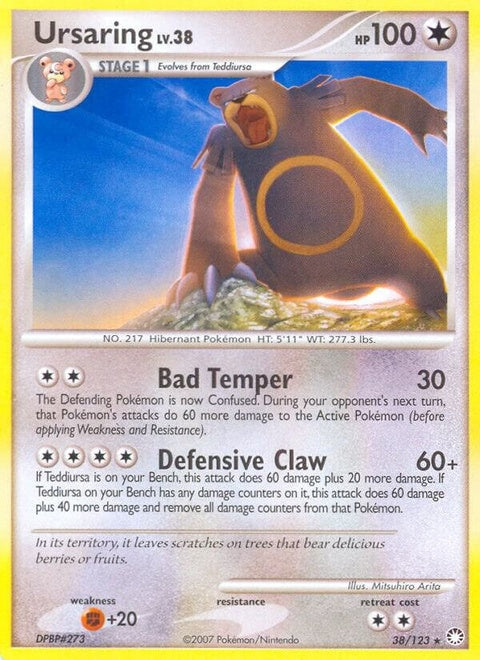 38-ursaring