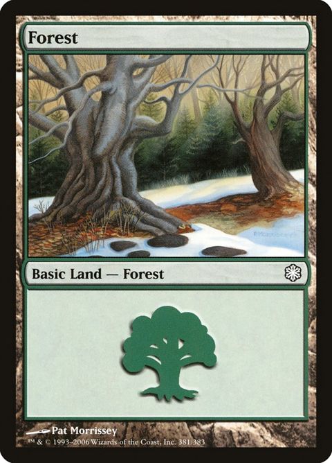 381-forest