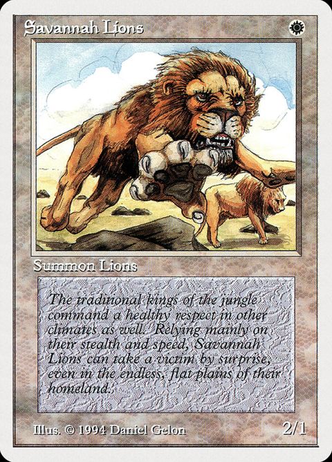 39-savannahlions