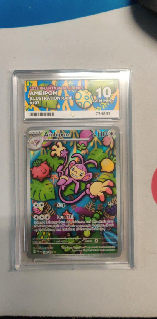 Ambipom 107 MEPF English ACE-10