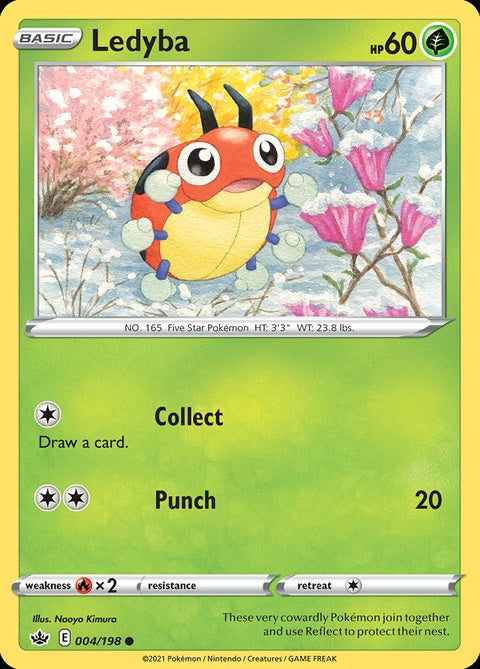 4-ledyba