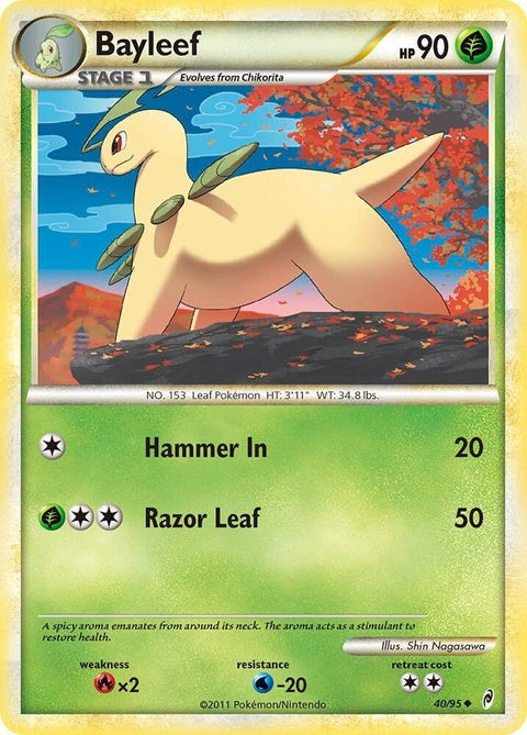 40-bayleef