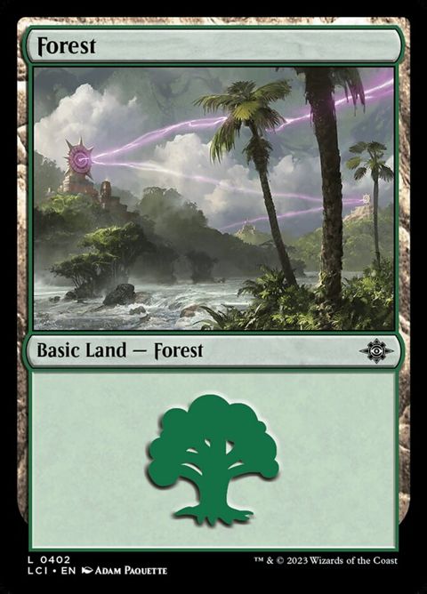 402-forest