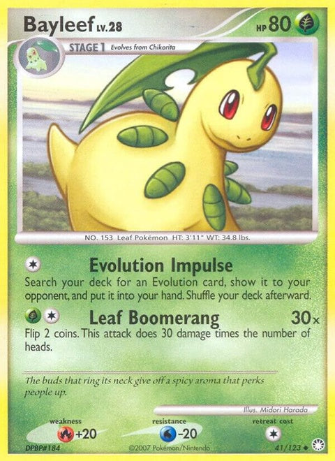 41-bayleef