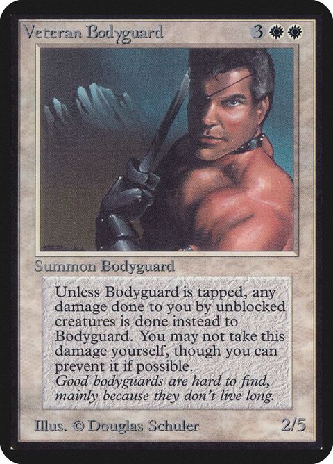 41-veteranbodyguard