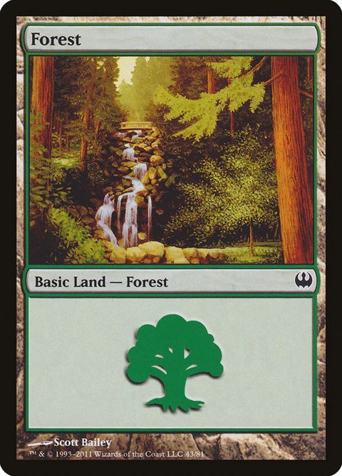 43-forest