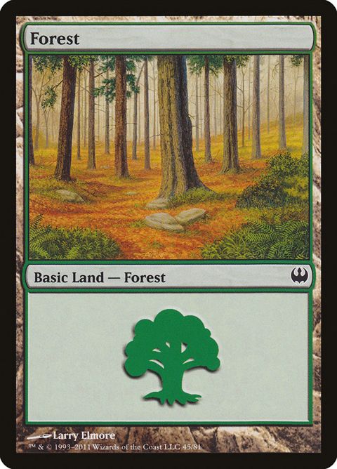 45-forest