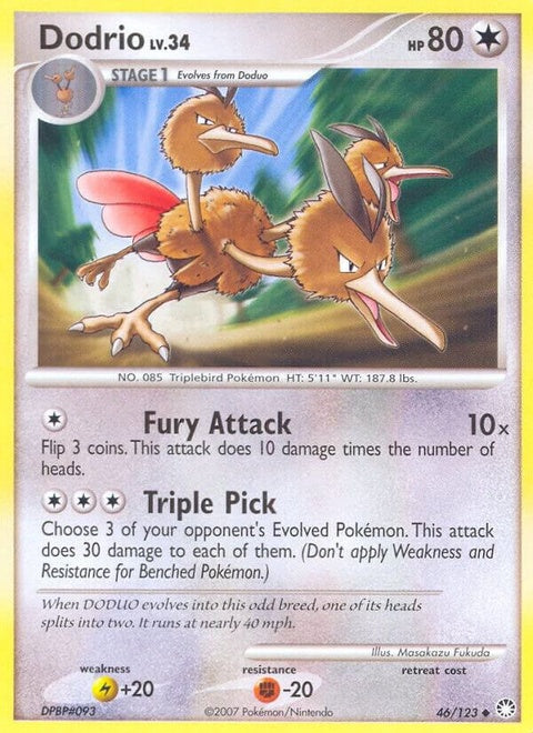 46-dodrio