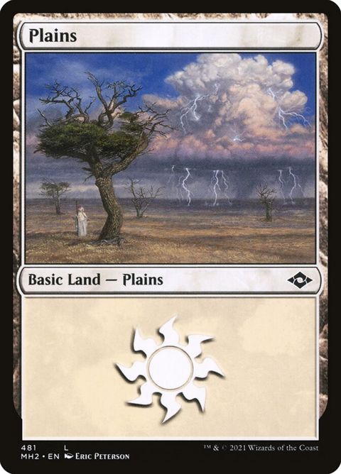 481-plains