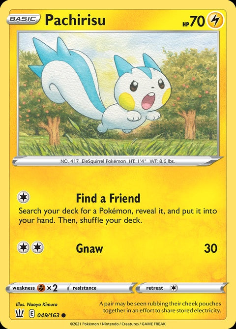 49-pachirisu