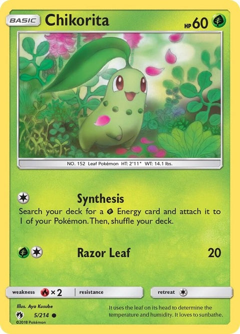 5-chikorita