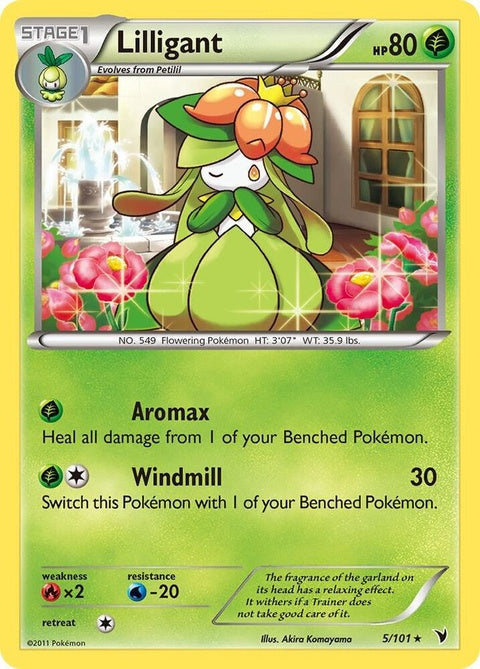 5-lilligant
