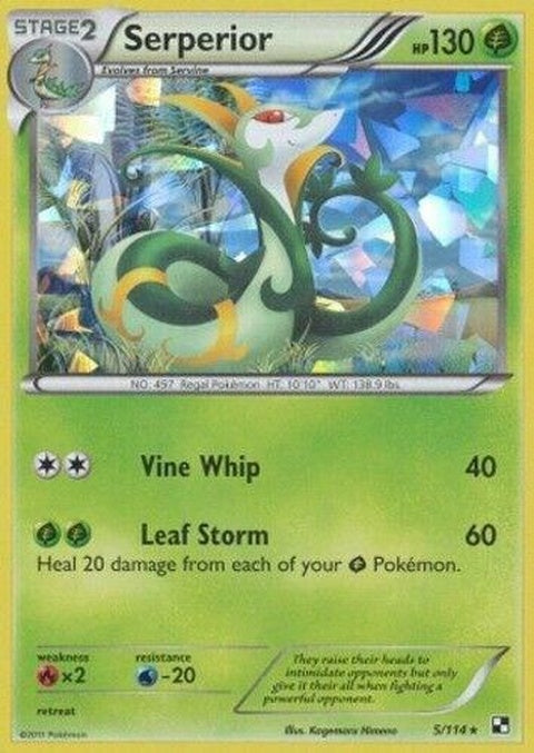 5-serperior-crackediceholo