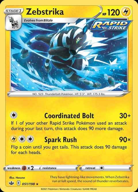 51-zebstrika