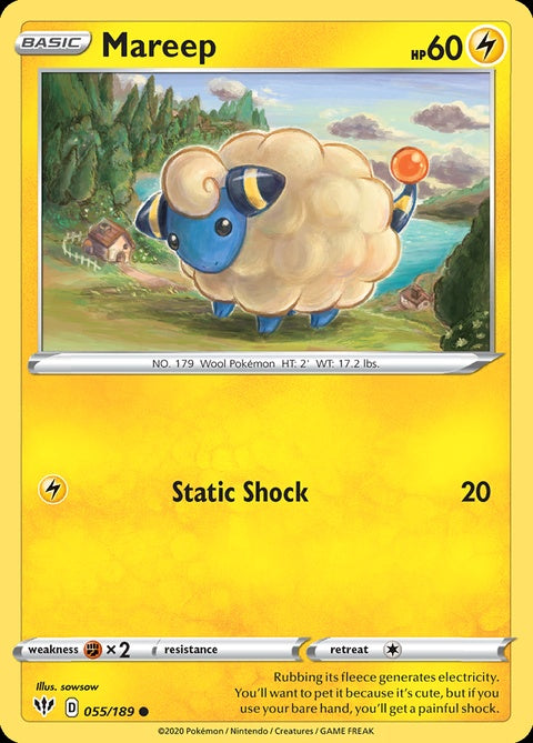55-mareep