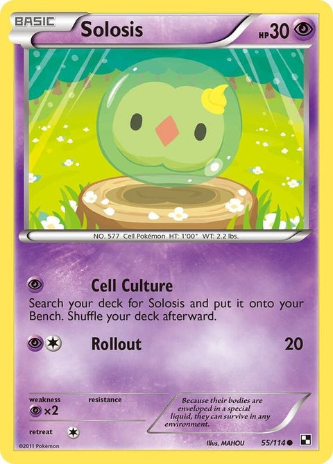 55-solosis