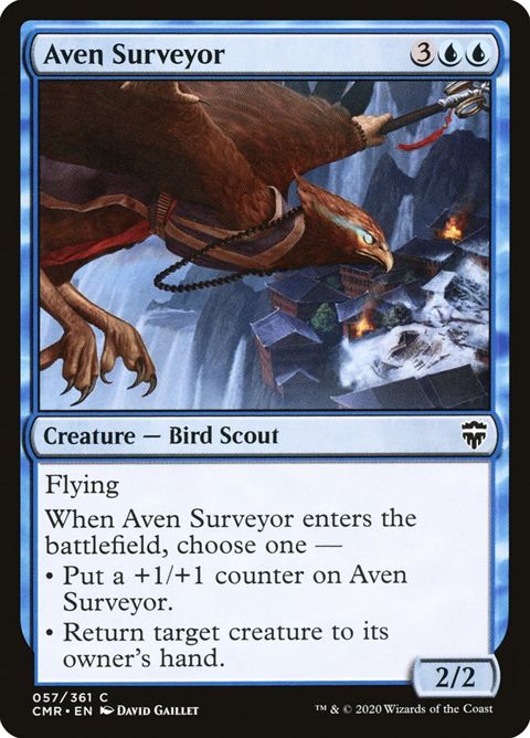 57-avensurveyor