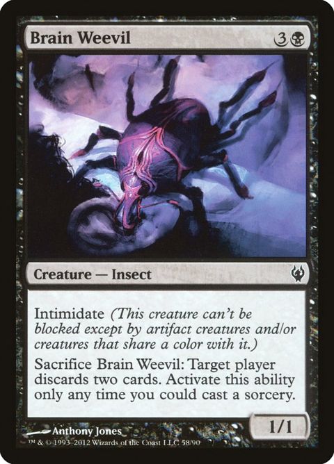 58-brainweevil