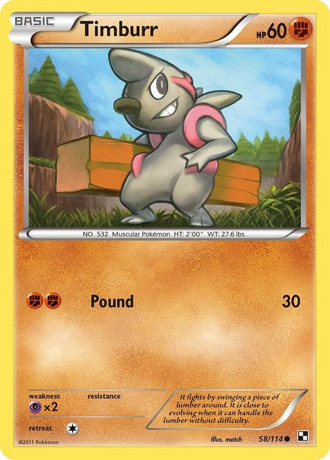 58-timburr