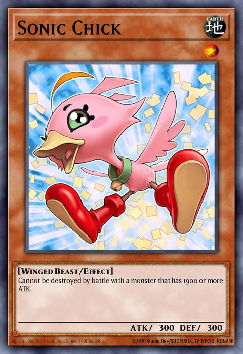 5ds1-en010-sonicchick