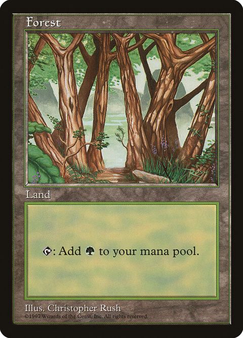 6-forest