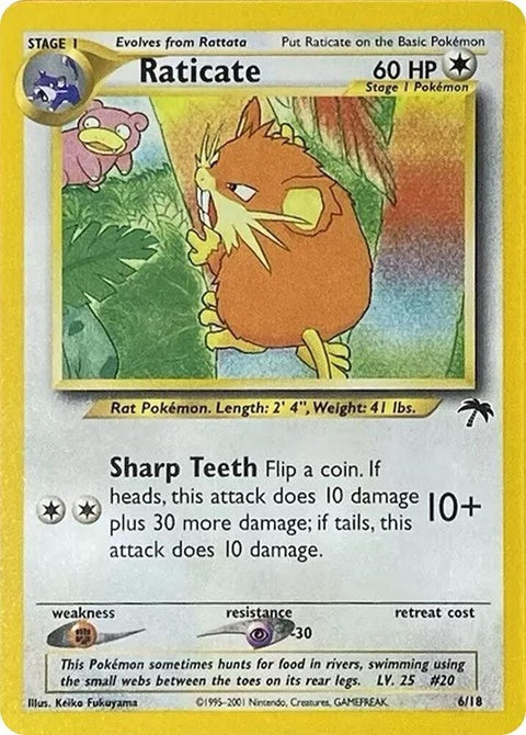 6-raticate