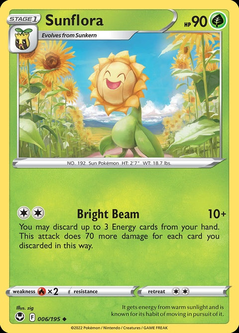 6-sunflora