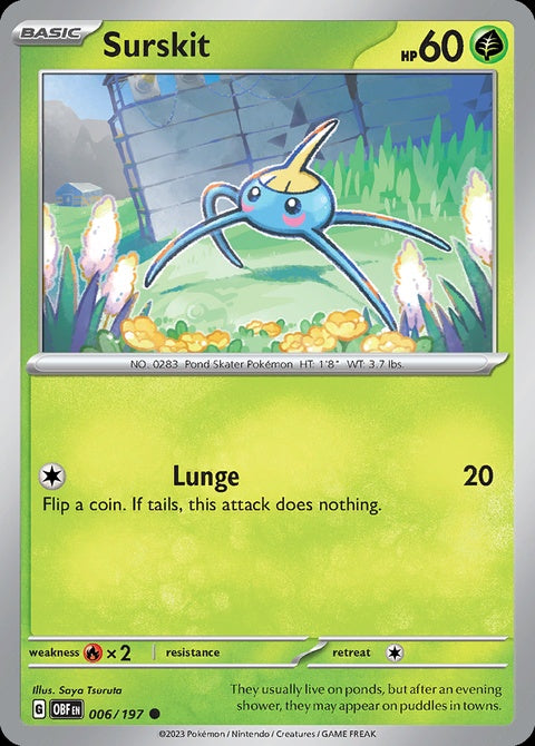 6-surskit