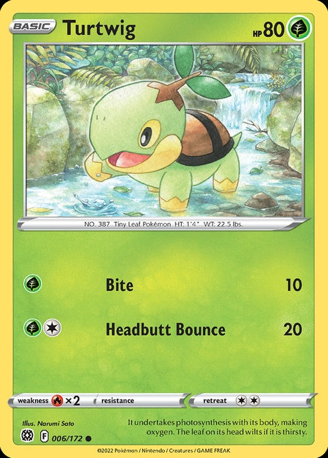 6-turtwig
