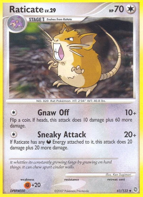 61-raticate