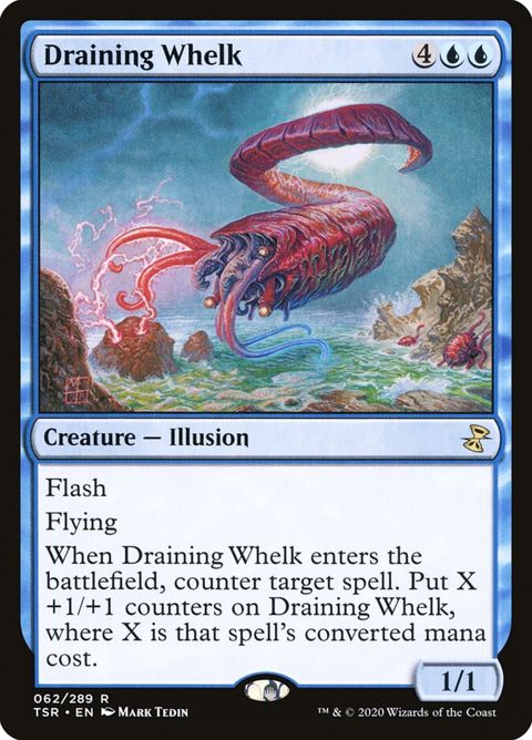 62-drainingwhelk