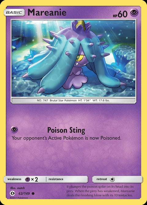 62-mareanie