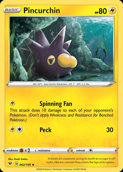 62-pincurchin