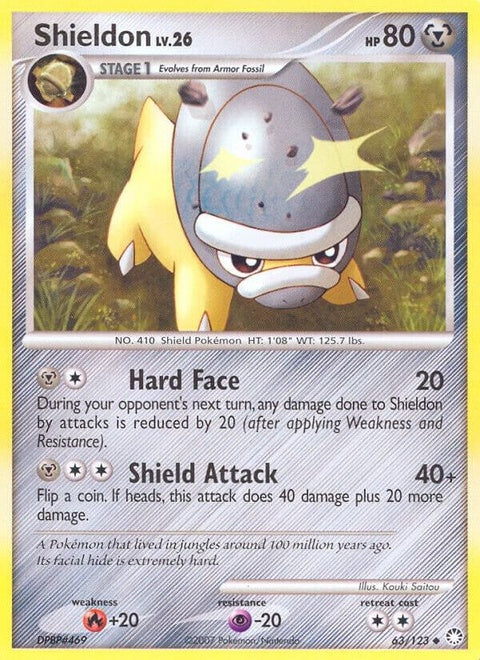 63-shieldon