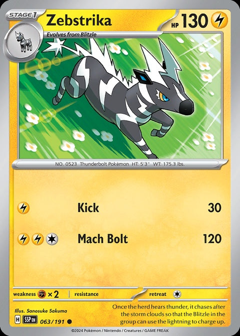 63-zebstrika