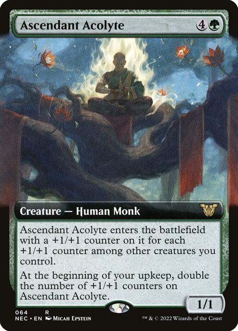 64-ascendantacolyte