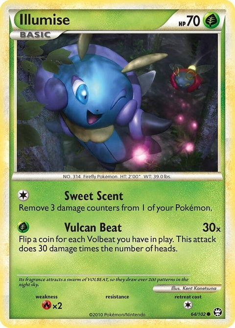 64-illumise