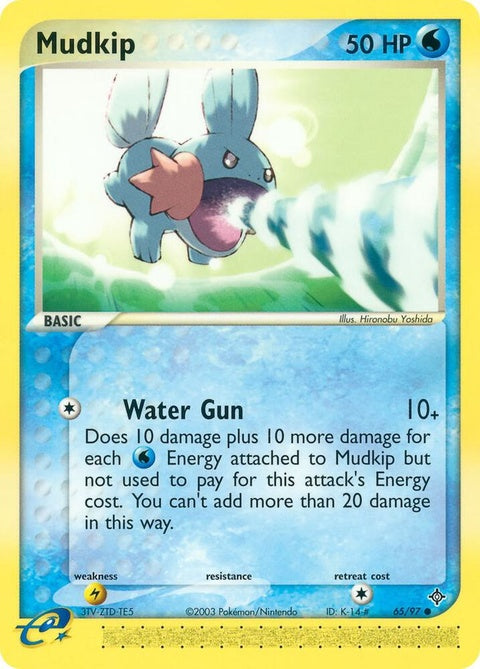 65-mudkip