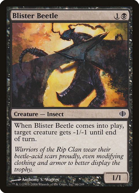 66-blisterbeetle