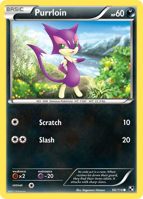 66-purrloin