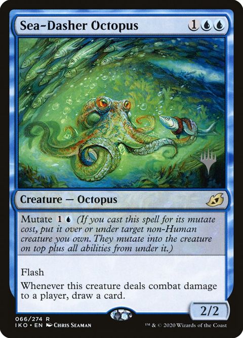 66p-seadasheroctopus