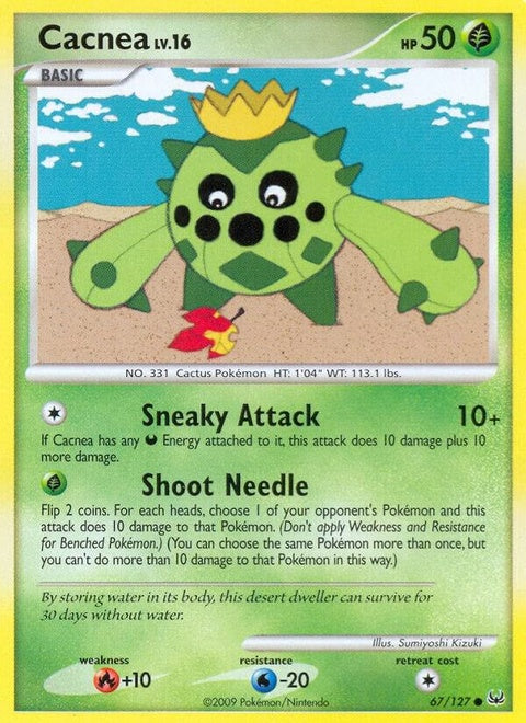 67-cacnea