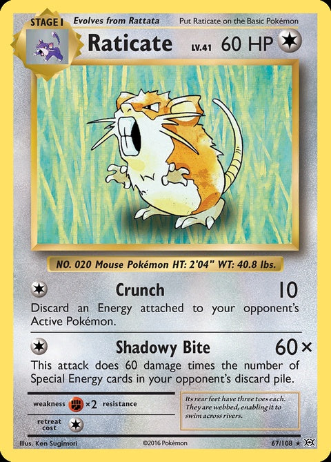 67-raticate