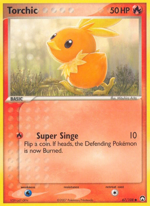67-torchic