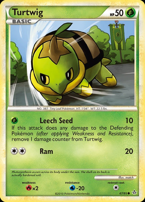 67-turtwig