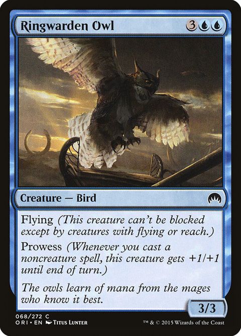 68-ringwardenowl